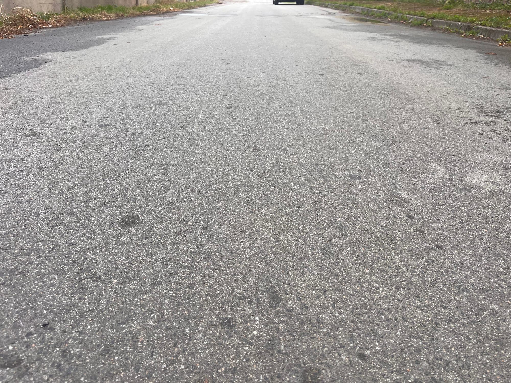 Pavement of the Veleton SBS section after 7 years in service